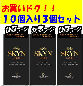 �y10��3�Z�b�g�zSKYN�@���[�W�@10����@(���i�R�[�h�@4902510180097)�@SKYN�@LARGE�@3�Z�b�g