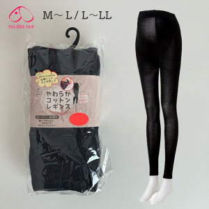 { EGXg炭炭RbgMX }^jeBMX M`LTCY L`LLTCY ɋ߂lCr[ ₦΍ H ~ ۂ }^jeB DP DP