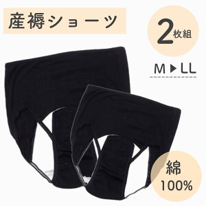 YV[c 100% 2g oY Y傭V[c 񂶂傭V[c 傫TCY Ή MTCY LTCY LLTCY 3LTCY 4LTCY 5LTCY