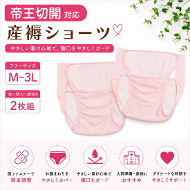 ※大特価※ 帝王切開対応 全開タイプ 産褥ショーツ ティーショーツ 産じょくショーツ 出産準備 術後ショーツ 2枚組 3枚組 4枚組
