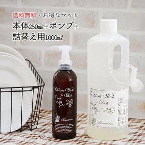 y    ₳ Hp܁wChloris Wash for Dish xTCY^{́^lւpNXfBbV  킢 {g e 䏊 Lb`p t̐ r A} 