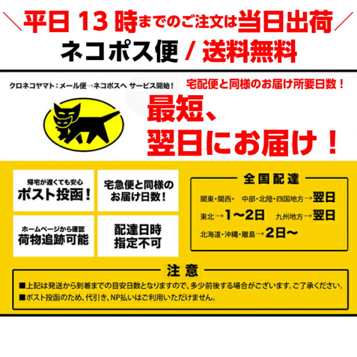 楽天市場 水着１０ Offクーポン 日本製 スイムパンツ ベビー 子供 キッズ 水着 水泳 ラッシュガード 80 男の子 女の子 おむつパンツ 水遊びパンツ ベビースイミング 半袖 長袖 保温 保育園 80 90 95 100水あそびパンツ ファスナー 80cm 90cm 100cm ウィリー