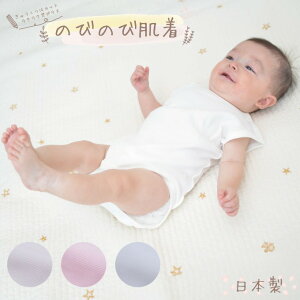 y { zym[X[u Jp[Xẑт̂уV[Y  LbY xr[ m[X[u  Ԃ  xr[ pW} Ȃ p[X n xr[ q  100% Ԃ