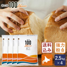 強力粉 春よ恋100Advance 北海道産パン用小麦粉 2.5kg×4 （10kg）送料無料_ 【沖縄は別途追加送料必要】まとめ買い 春よ恋100% パン作り お菓子作り 料理 手作り スイーツ こどもの日 母の日