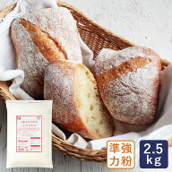 リスドオル 2.5kg フランスパン用粉 準強力粉 バゲット ピザ_