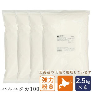 }}p kCY n^J100 2.5kg×4(10kgj͕ Ypp Y_