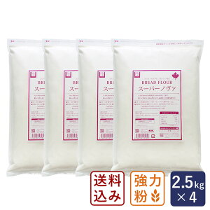 【1セット限定・100円OFF 10月31日AM9:59まで】【送料無料】スーパーノヴァ(1CW)2.5kg×4(10kg)強力粉 パン用小麦粉_【沖縄は別途追加送料】