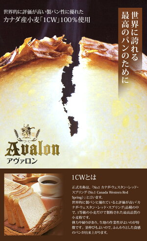 強力粉 アヴァロン 1cw パン用小麦粉 2 5kg おうち時間 パン作り お菓子作り 手作り パン材料 お菓子材料 ポイント消化 バレンタイン ベストオイシー