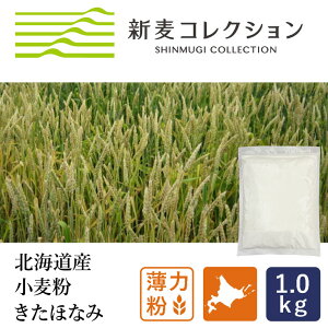 }}p VRNV V قȂ 1kg ͕ ]ʐ kCY YGߌ_