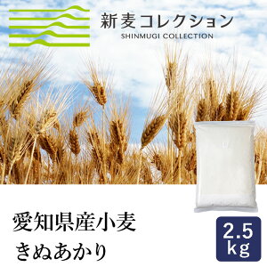 }}p VRNV V ʂ 2.5kg pp zܐH Y _