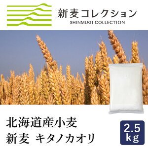 }}p VRNV V L^mJI 2.5kg ͕ ]ʐ kCYpp Y Gߌ_