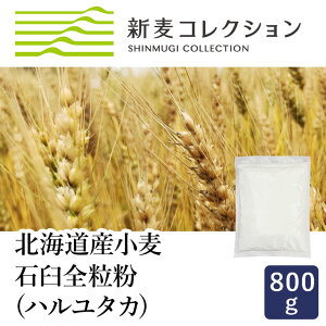 }}p VRNV V ΉPSin^Jj 800g S ]ʐ kCY Y Gߌ_