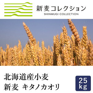 ]ʐ VRNV V L^mJI 25kg ͕ kCYpp Y Gߌ_y͕ʓrǉKvz