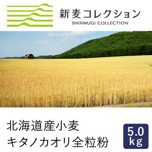 ]ʐ VRNV V L^mJIS 5kg ͕ YҌ kCYpp Y Gߌ_