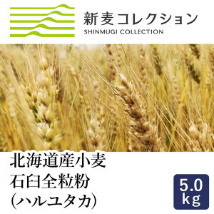 ]ʐ VRNV V ΉPSin^Jj 5kg S kCY Y Gߌ_