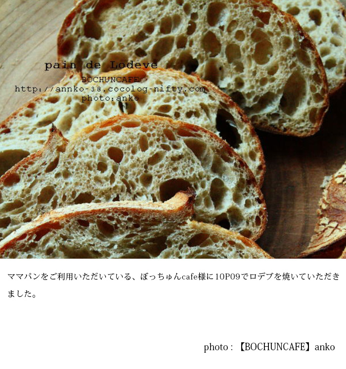 楽天市場】準強力粉 10P09 2.5kg 北海道産小麦 バゲット フランスパン ...