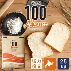 t100Advance 25kg ͕ kCYpp kCY Y ƖpoNi_ y͕ʓrǉKvz