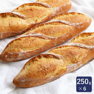 }}p tXp 250g×6 Ⓚpn ISMiCYj_