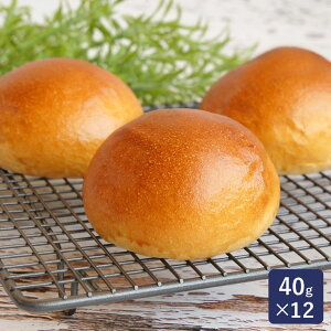 }}p َqpʐn 40g×12 Ⓚpn ISMiCYj_