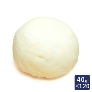 ISMiCYj h[icʐn 40g×120 Ⓚpn Ɩp 1P[X_