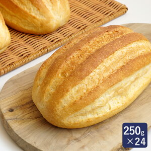 ISMiCYj ~Nt` 250g×24 Ⓚpn Ɩp 1P[X_
