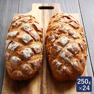 ISMiCYjC`WNN~ubh 250g×24 Ⓚpn Ɩp 1P[X_