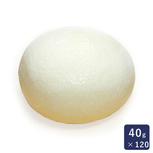 ISMiCYj o^[[ ʐn 40g×120 Ⓚpn Ɩp 1P[X_