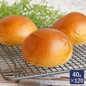 ISMiCYj َqpʐn 40g×120 Ⓚpn Ɩp 1P[X_