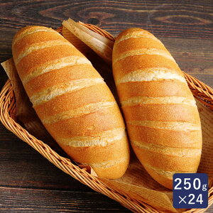 ISMiCYjׂ₷Cp250 250g×24 Ⓚpn Ɩp 1P[X_