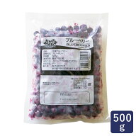 トロピカルマリア ブルーベリー 500g 冷凍フルーツ_