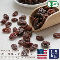 ママパン 有機サンバレーレーズン 1.5kg 有機JAS アメリカ産 トンプソンシードレス種 ノンオイル オーガ…