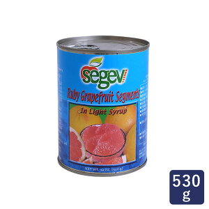 r[O[vt[c ZOg ZQ segev 530g ʋl t[c_