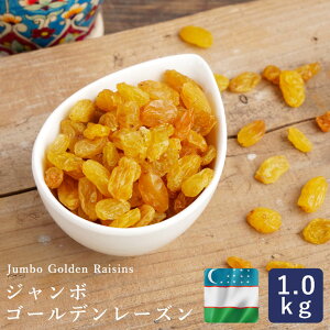 }}p EYxLX^Y W{S[f[Y 1kg ICR[eBOȂ mIC hCt[c Ԃǂ_