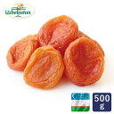 【2点限定・30%OFF 7月11日AM9：59まで】ジャンボドライアプリコット ウズベキスタン産 500g SO2 大粒 ドライフルーツ 砂糖不使用 あんず 杏_