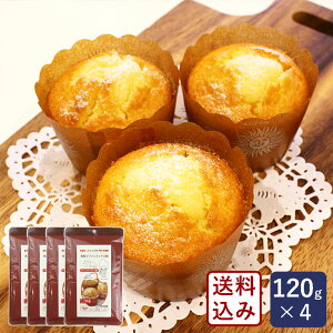 yzWH ĕ}tB~bNX 120g×4 ~bNX Oet[ sgpy䂤pPbg^z_