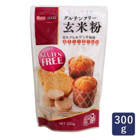 玄米粉 グルテンフリー玄米粉 熊本製粉 300g_ パン作り お菓子作り 料理 手作り スイーツ 父の日