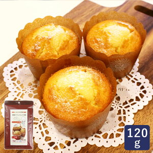 WH ĕ}tB~bNX 120g ~bNX Oet[ sgp_