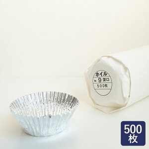 zC^ zC [ No.9 500 zCP[X A~Jbv_