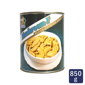 }bV[  }bV[-F s[ZXEXeX 2 850g_