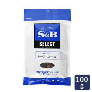 S&B GXr[ X^[AjXiz[j100g XpCX p 䠍_