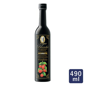 h[o[ gbNuV t{[Y 490ml ZkGLX mAR[_