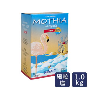  eBA T[ECeO[EtB[miחj C^AY 1kg  VRC V_
