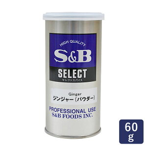 S&B GXr[ WW[ipE_[j60g XpCX I 傤 S_