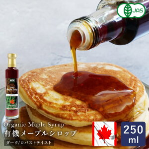 I[KjbN[vVbv _[N/oXgeCXg 250ml Vbv L@JAS Ji__