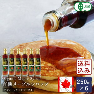 yzI[KjbN[vVbv Ao[/b`eCXg 250ml×6 Vbv L@JAS Ji_Y_ y͕ʓrǉKvz
