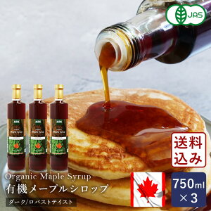 yzI[KjbN[vVbv _[N/oXgeCXg 750ml×3 Vbv L@JAS Ji__ y͕ʓrǉKvz