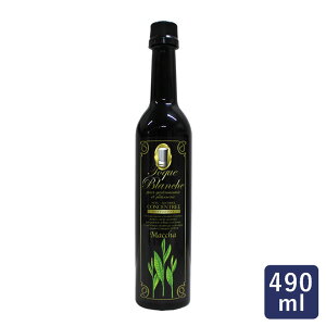 h[o[ gbNuV  490ml ZkGLX mAR[_