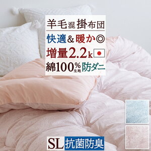 SiP5ő10OFFN[|[3016`8H] yrэ|zcEVOE{zSi̓{IӂgRۖhLEh_jHIrэ|ӂƂVO