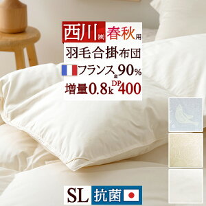 SiP5ő10OFFN[|[1516`8h] Hѕzc  | VO 0.8kg tXYzCg_E90% VOTCY HтӂƂ Hэ|ӂƂ DP400 Rېn { 