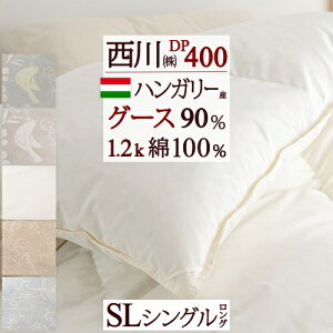 ~ ő10OFFN[| Hѕzc O[X VO  DP400 nK[YO[X_E90 1.2kg VOTCY HтӂƂ 100n { oCIAbvH |zc |zc 